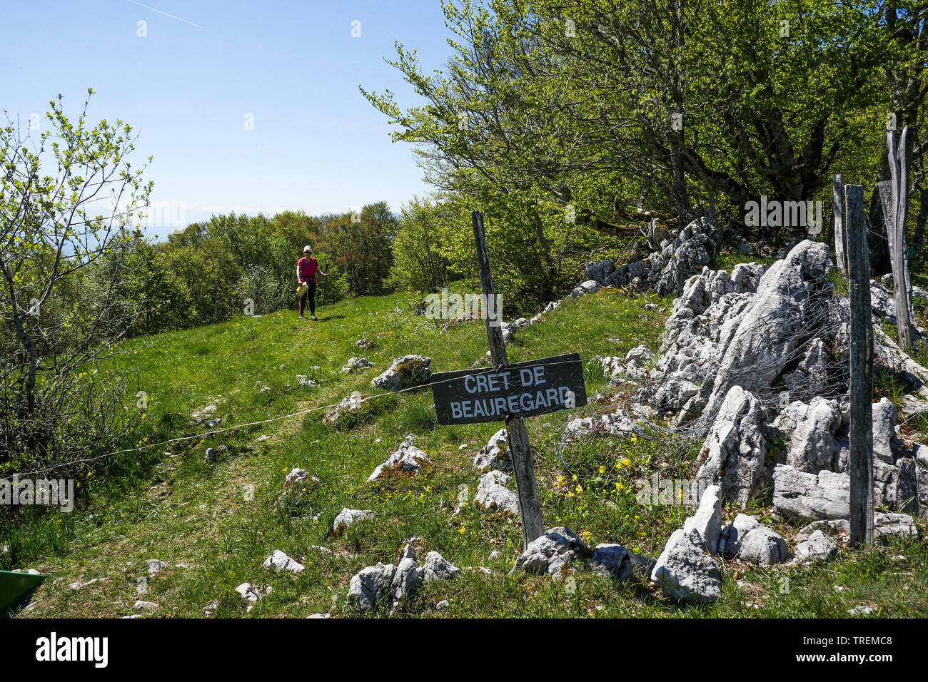 Cret de Beauregard, Plateau du Retord, Southern-Jura, Ain, France Stock ...
