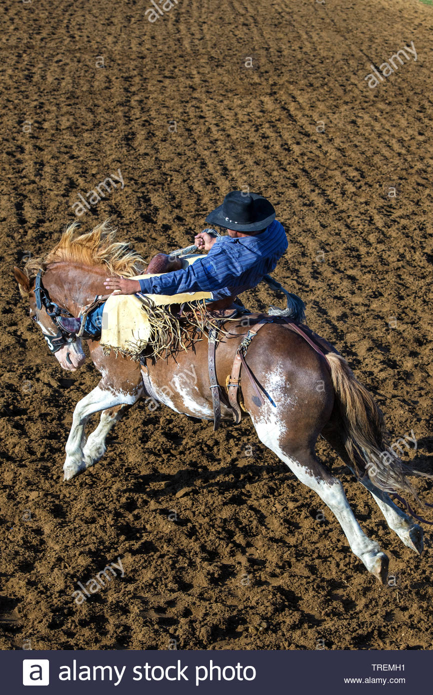 Me And Dupree Stock Photos & Me And Dupree Stock Images Alamy