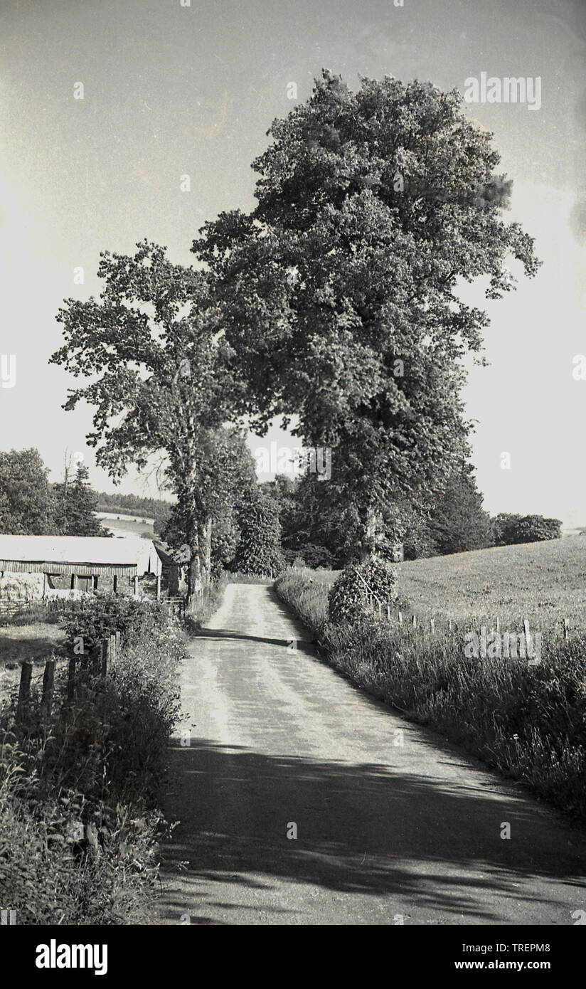 1950s, historical, daytime and a view along a country lane in Surrey countryside, England, UK. Stock Photo