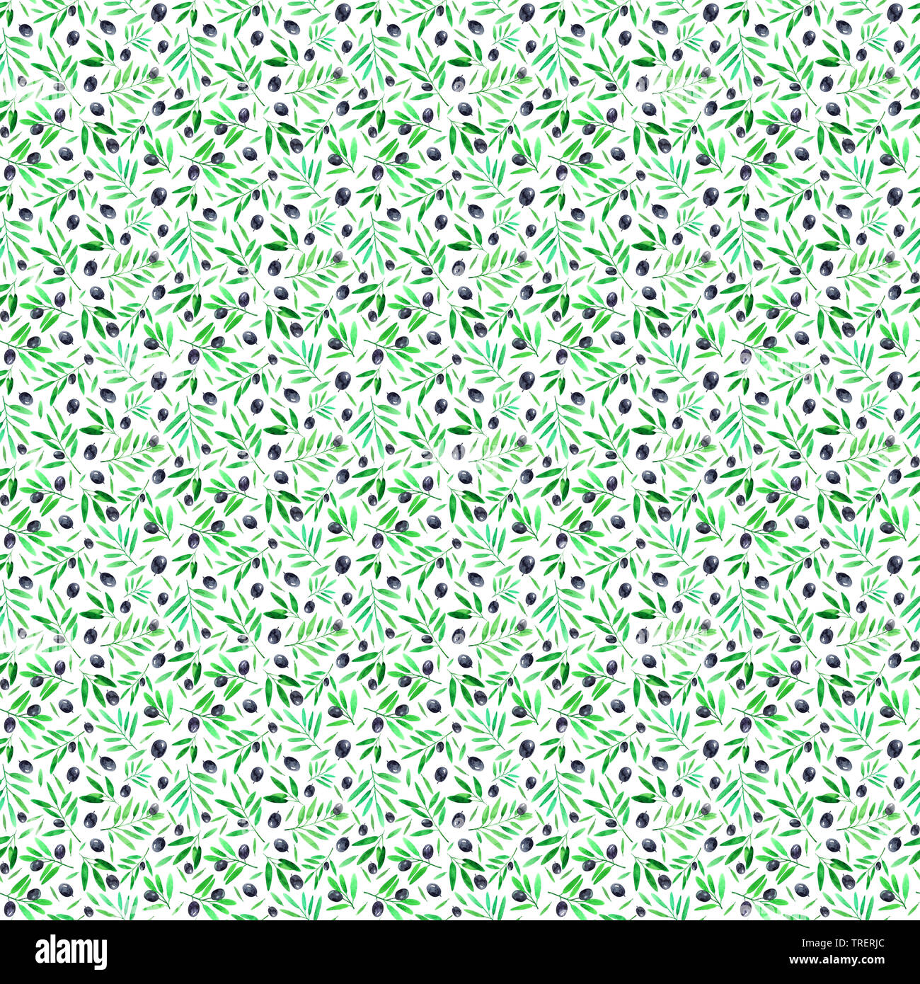 Seamless pattern with watercolor olive branches on white background ...