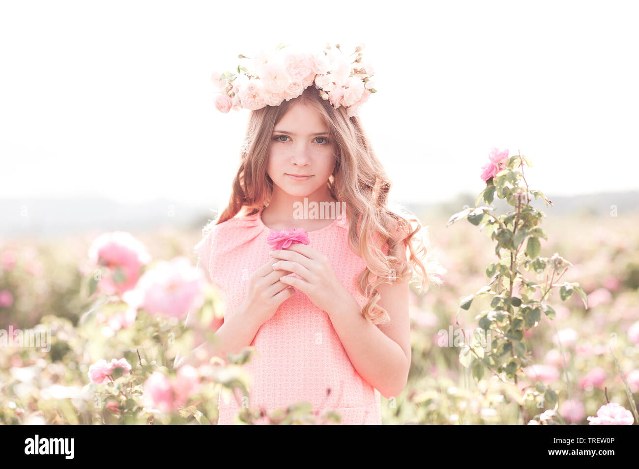 Beautiful blonde girl holding rose outdoors. Posing in meadow. Looking at camera. Stock Photo