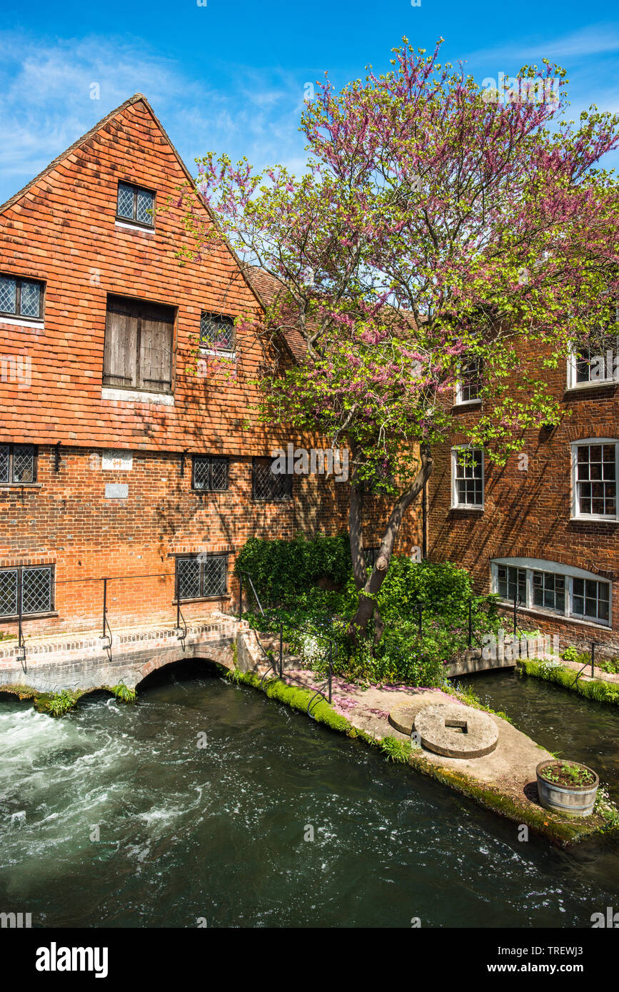 Winchester City Mill, on the River Itchen, Hampshire, UK, last rebuilt in 1744. Stock Photo