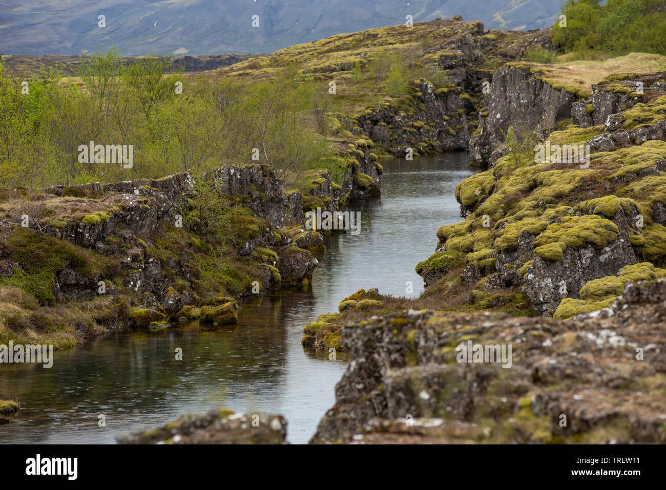 Silfra is a fissure between the North American and Eurasian tectonic plates in Thingvellir National Park, Iceland Stock Photo