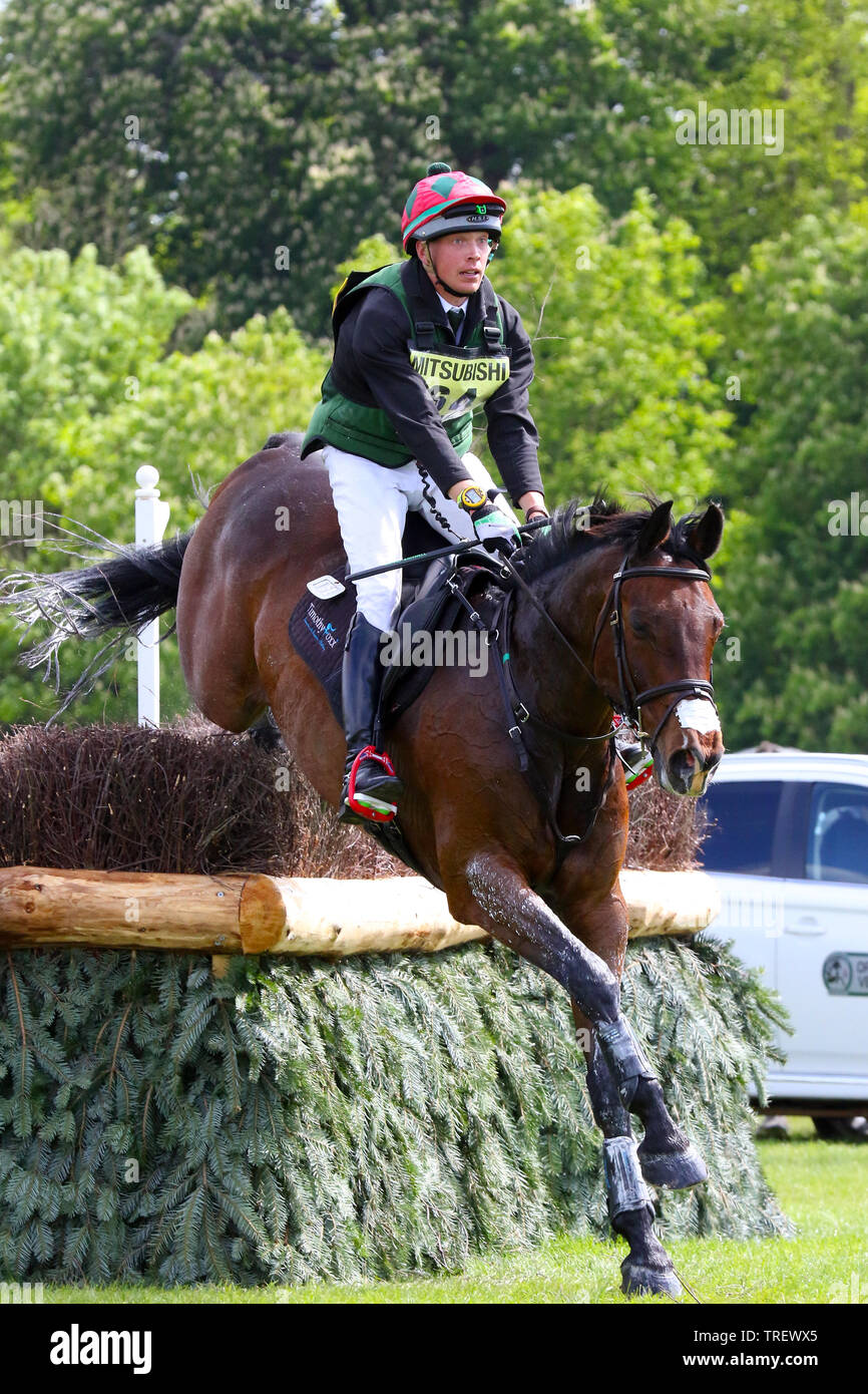 David Britnell - Continuity -  Cross Country Badminton Horse Trials 2019 Stock Photo