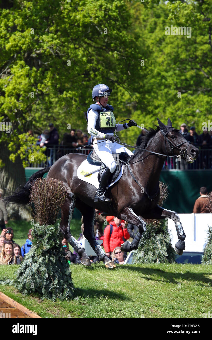 Nicola Wilson Bulana Cross Country Badminton Horse Trials 2019 Nicola Wilson Bulana Cross Country Badminton Horse Trials 2019