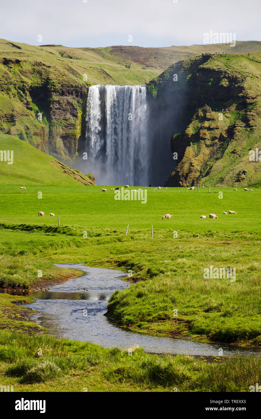 View of the waterfall Skogafoss, Iceland. Summer landscape with green meadow and river Stock Photo