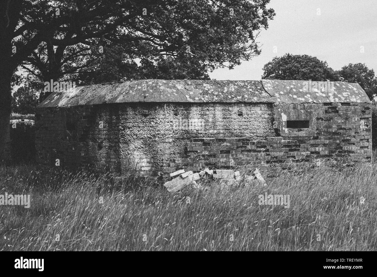 Bunker plant Black and White Stock Photos & Images - Alamy