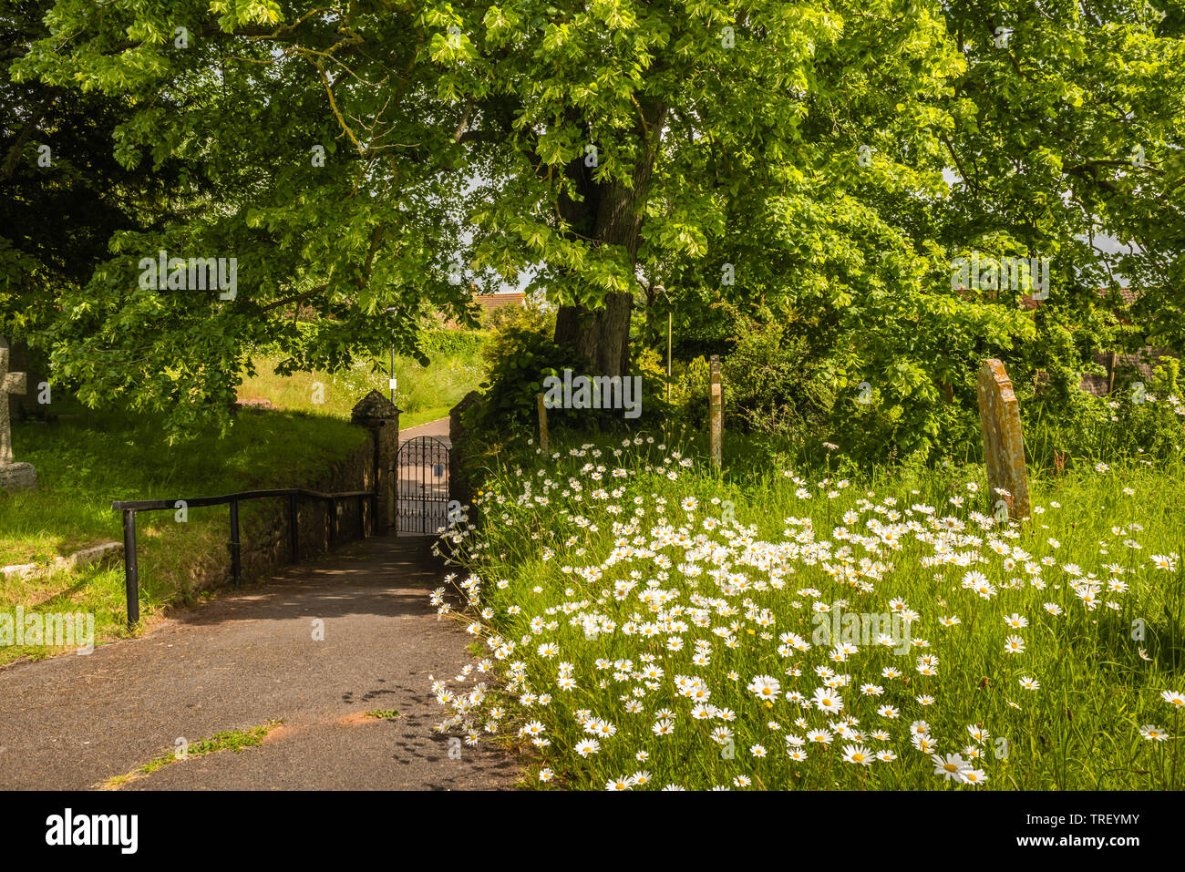 All Saints East Budleigh with its well kept churchyard. Stock Photo