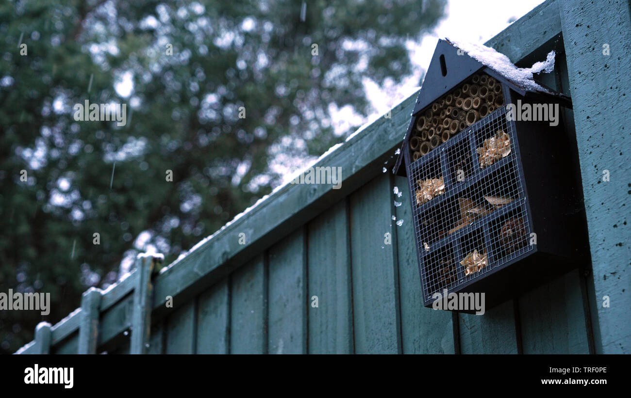 Costco bee house hi-res stock photography and images - Alamy