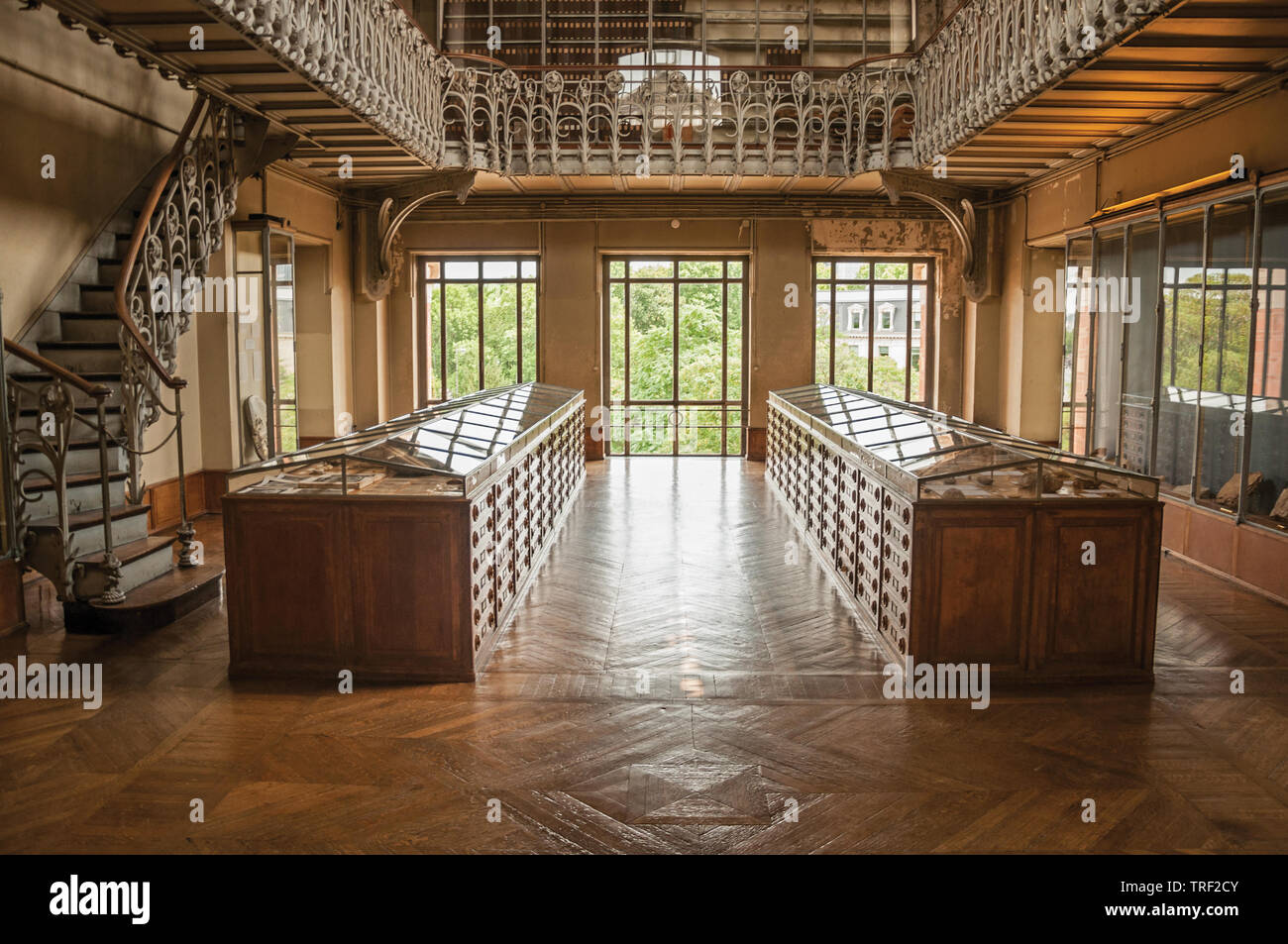 and fossil display at Gallery of Paleontology and Comparative