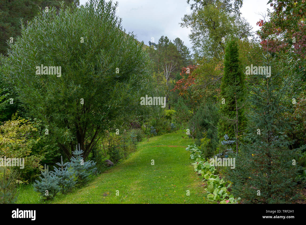 Decorative path in a beautiful garden in early autumn Stock Photo - Alamy