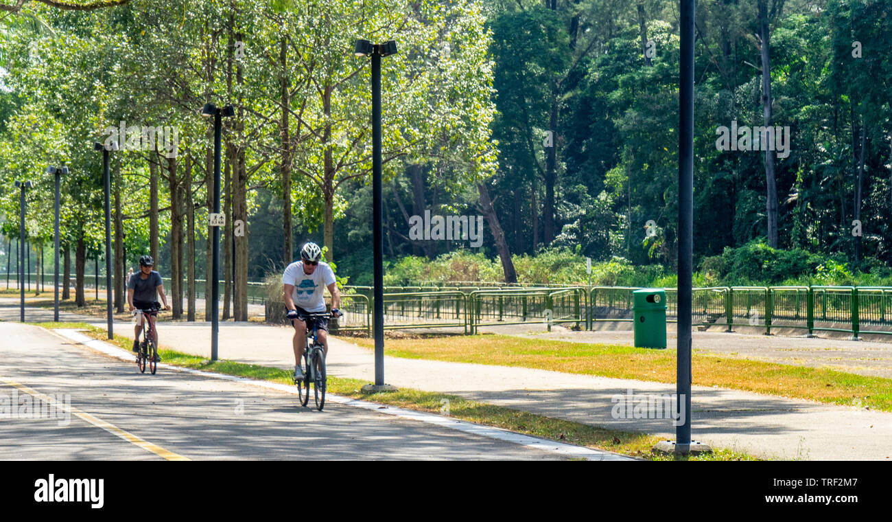 Cyclists Riding Their Bicycles On A Road Along East Coast Park Singapore Stock Photo Alamy