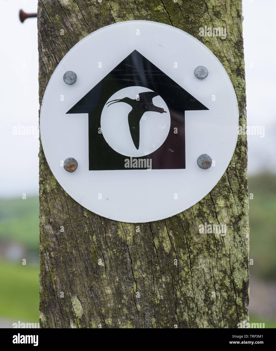 The curlew symbol way marker for the Nidderdale Way footpath in the Yorkshire Dales Stock Photo