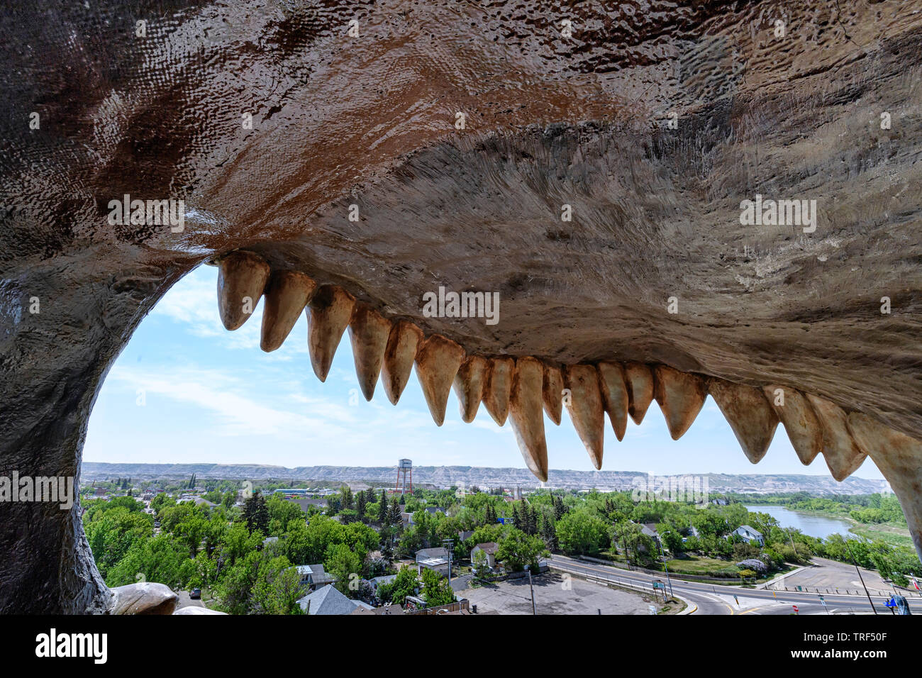 View of Drumheller Canada from inside of the mouth of the 'World's Largest Dinosaur'. The viewing platform can hold up to 8 to 12 people Stock Photo