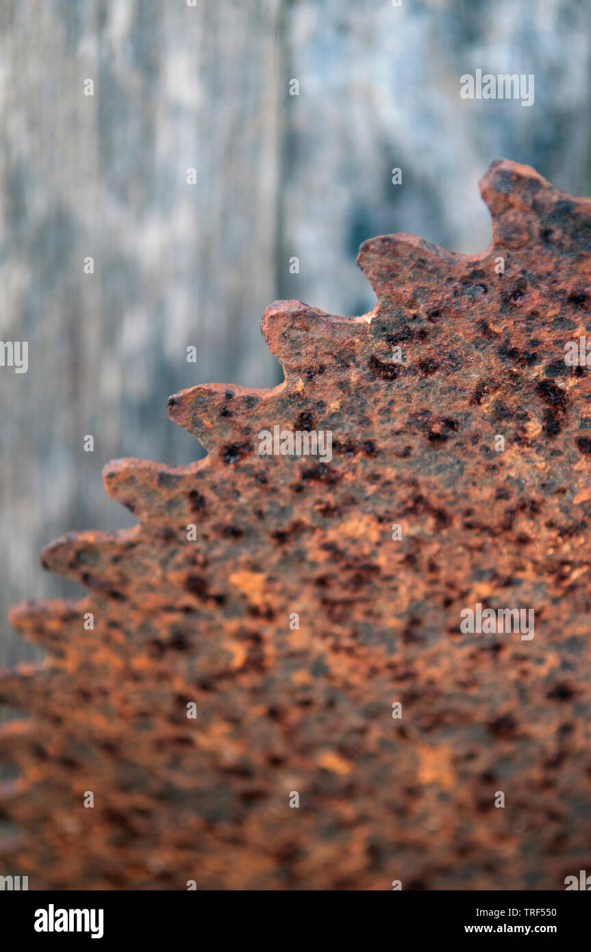 A Close Up Of The Teeth On A Rusty Saw Blade Stock Photo