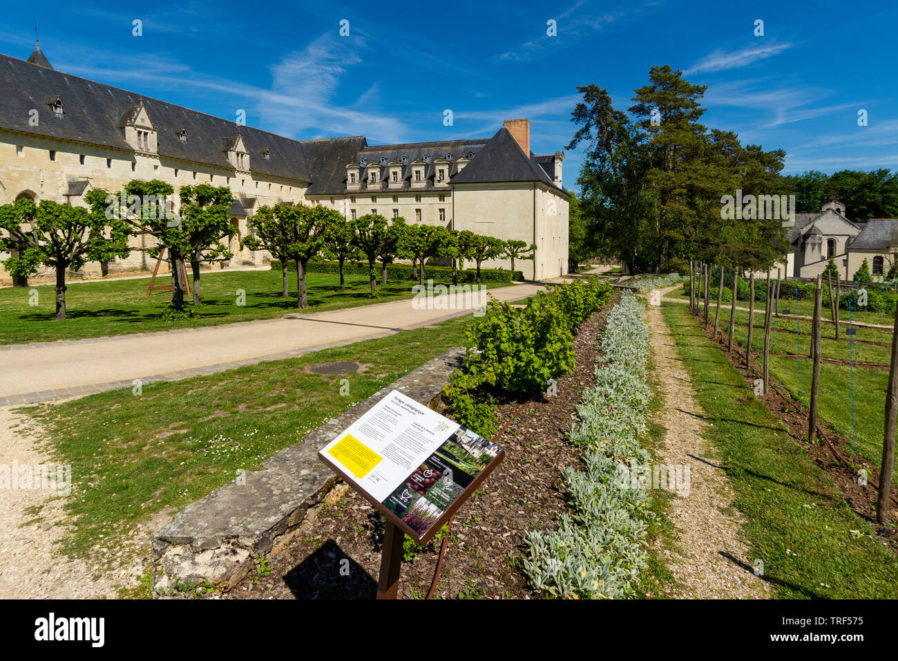 Garden of The Royal Abbey of Fontevraud, Fontevraud l'Abbaye, Maine-et-Loire, Pays de la Loire, France Stock Photo