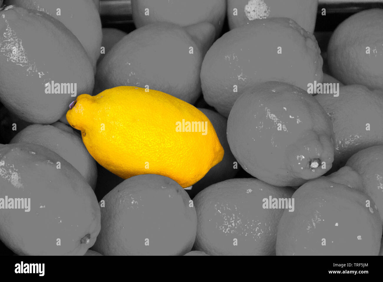 Lemons in loose can be used as background or wallpaper and for other possibility or to modify to your taste Stock Photo