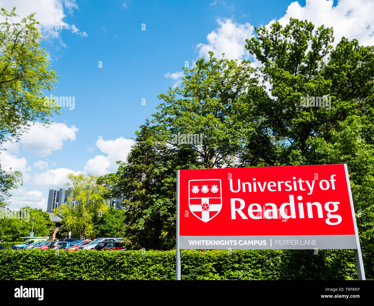 Uni Of Reading Logo Brand