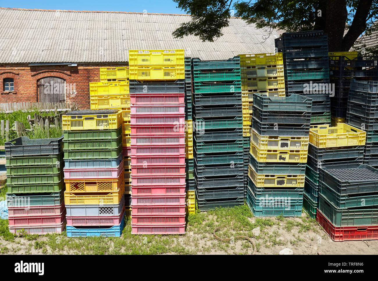 Empty plastic containers used for vegetables transportation piled at a farmyard. Stock Photo