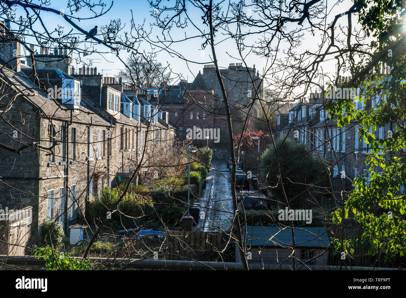 The Colonies, Edinburgh Stock Photo Alamy