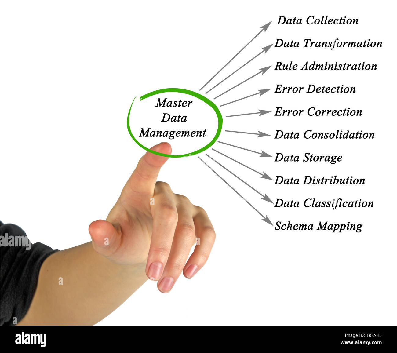diagram of Master Data Management Stock Photo - Alamy