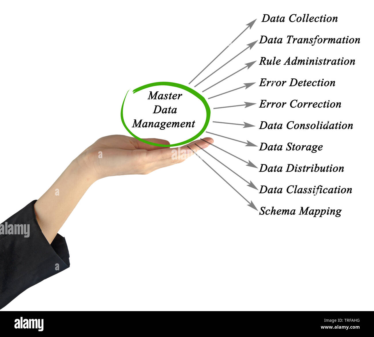 diagram of Master Data Management Stock Photo - Alamy