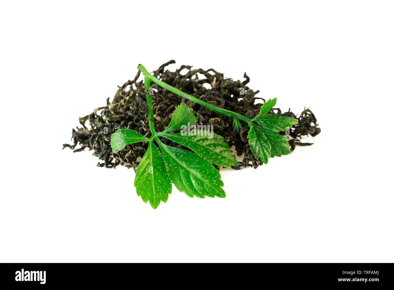 Chinese Jiaogulan Leaf Tea of Gynostemma Plant Isolaetd on White Stock Photo
