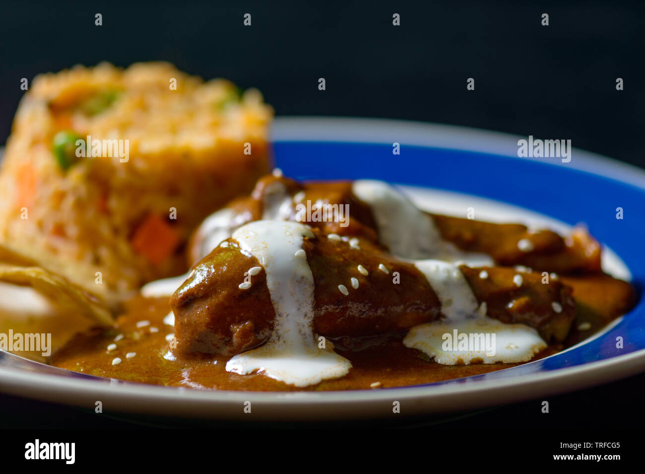 Chicken with mole Poblano sauce and Mexican rice, traditional specialty of Oaxaca and Puebla. Food, restaurants, menus, Mexico, travel, tradition. Cop Stock Photo