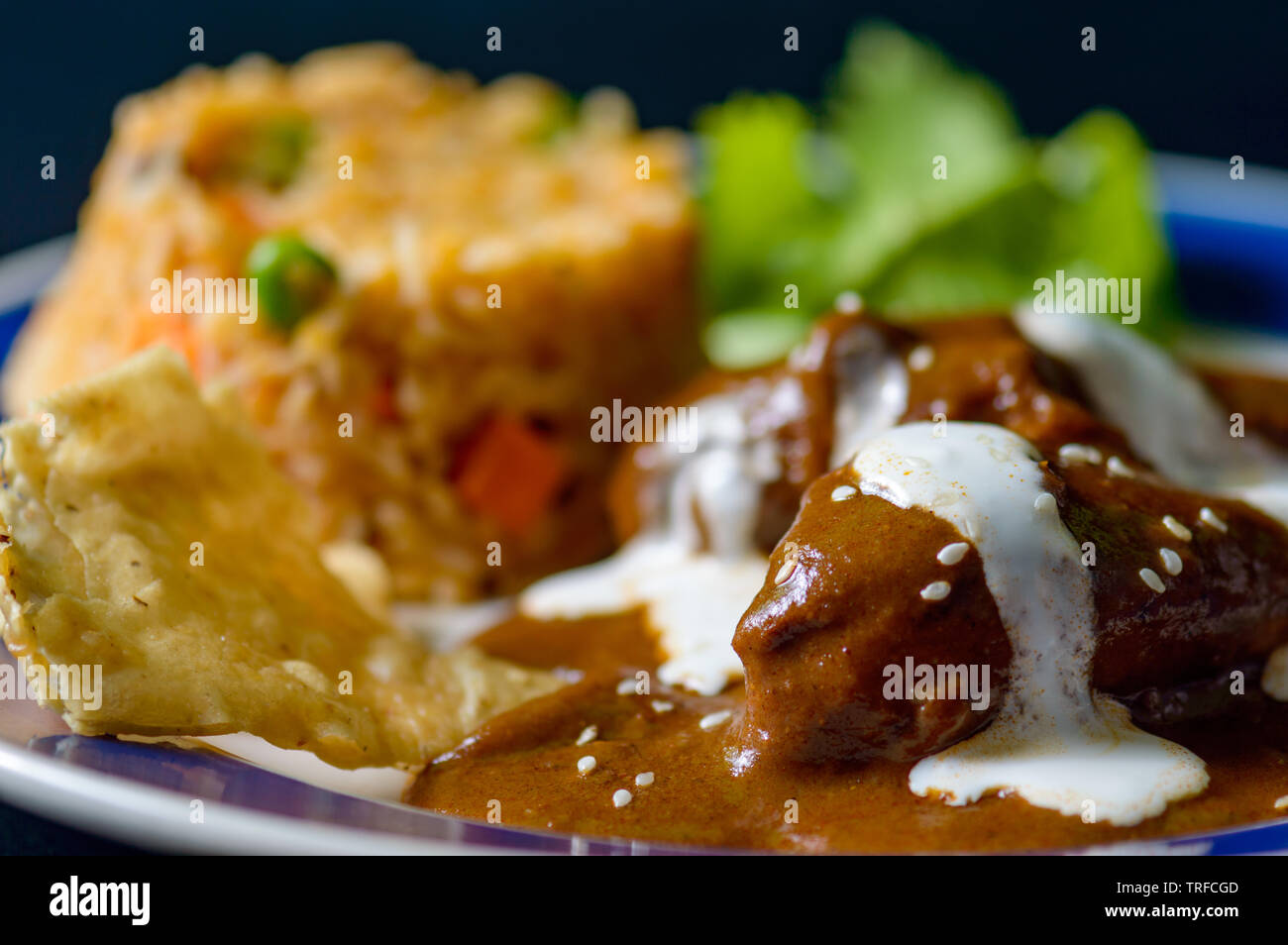 Mole Poblano sauce with chicken and Mexican rice, traditional specialty food of Oaxaca and Puebla. Food, restaurants, menus, Mexico, travel, tradition Stock Photo