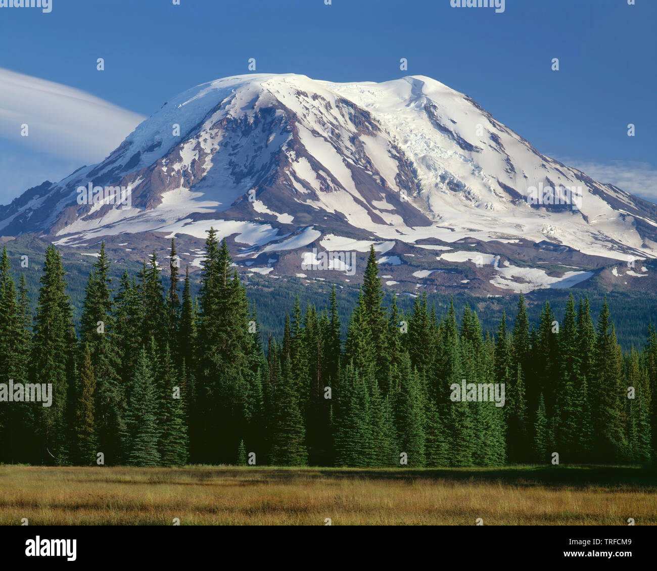 USA, Washington, Gifford Pinchot National Forest, Northwest side of Mt