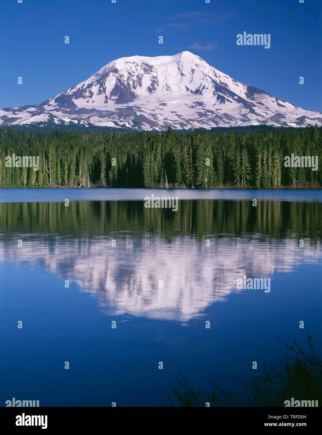 USA, Washington, Gifford Pinchot National Forest, Mt. Adams reflects in