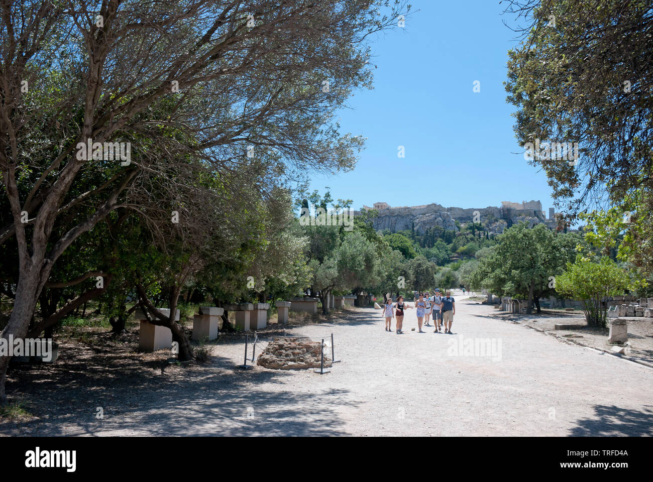 Agora Tree Ancient agora and trees hi-res stock photography and images - Alamy