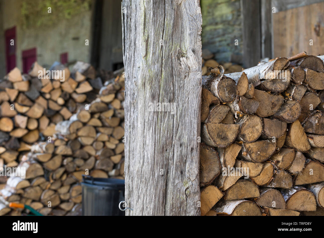 Pile with logs of firewood ready for the winter time, Belgium Stock Photo