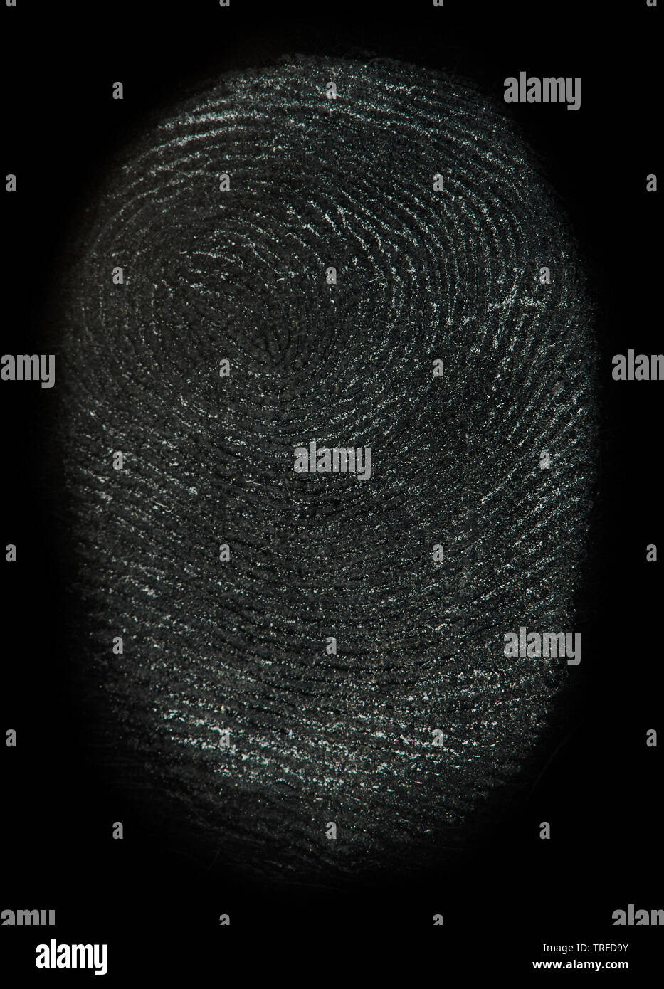 Close up of one real finger print isolated on black background Stock Photo