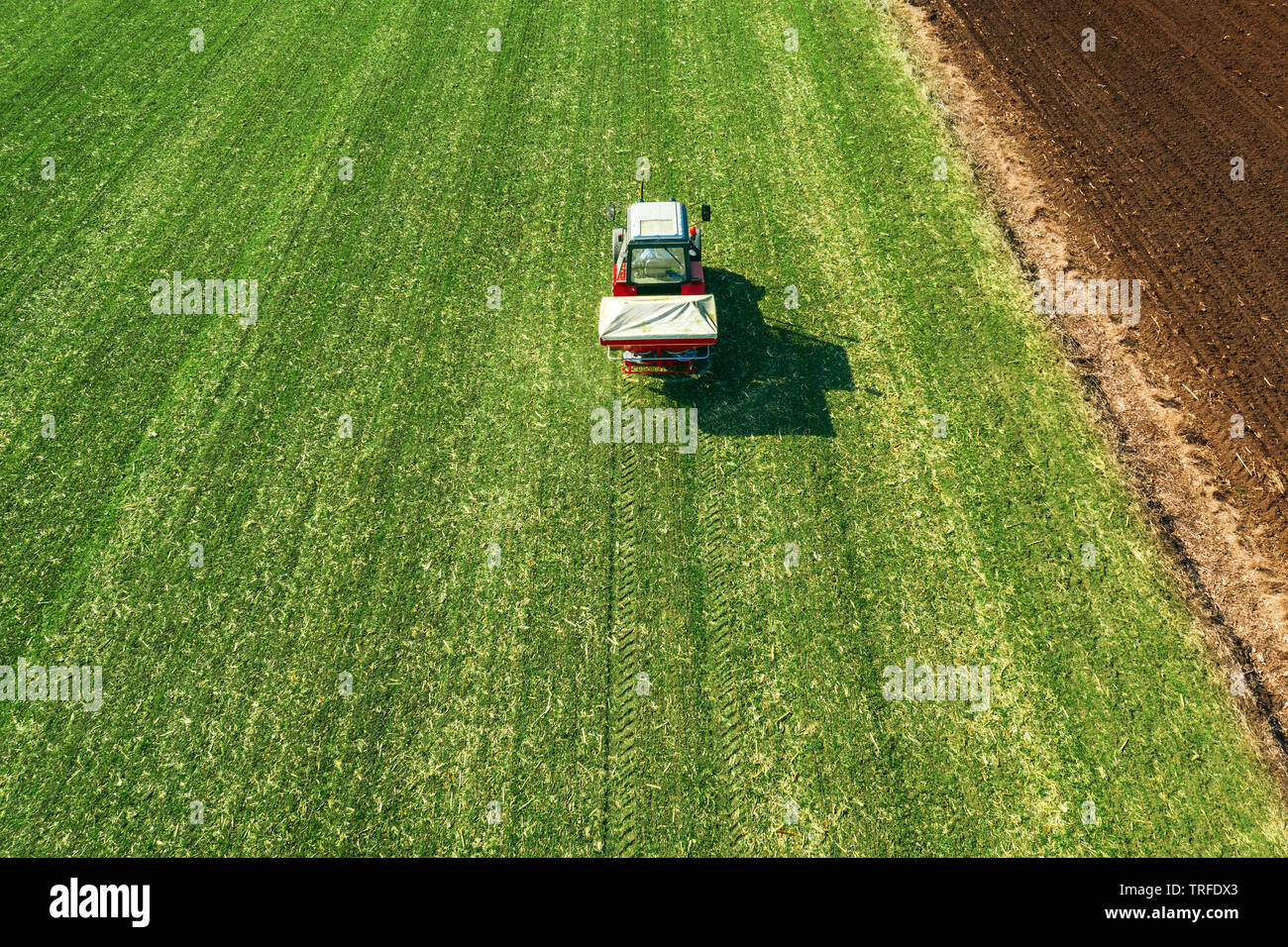 Unrecognizable farmer in agricultural tractor is fertilizing wheat crop field with NPK fertilizers, aerial view from drone pov Stock Photo