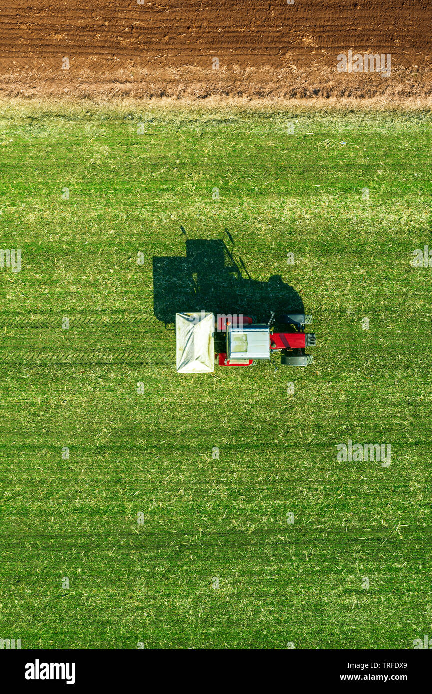 Agricultural tractor is fertilizing wheat crop field with NPK fertilizers, aerial view from drone pov Stock Photo