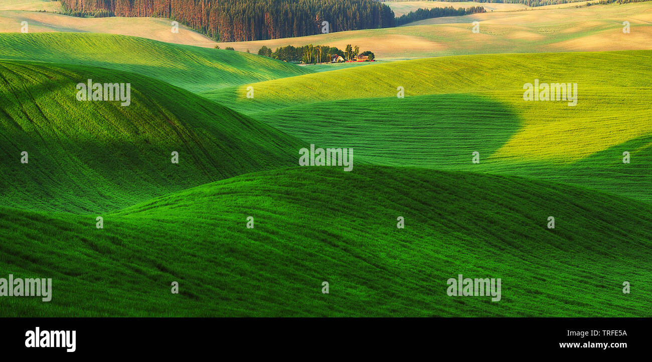 picturesque hilly field. agricultural field Stock Photo