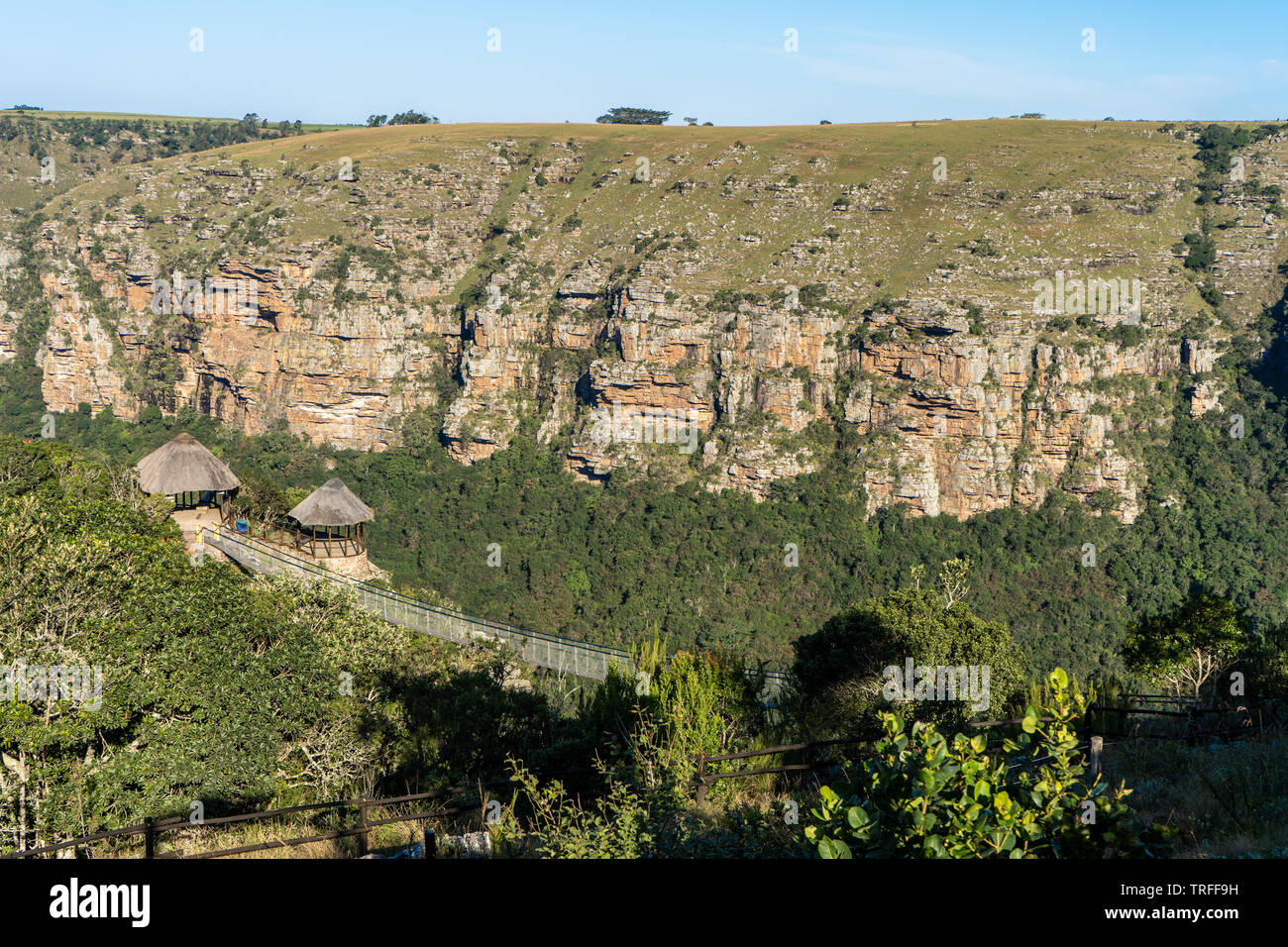 Oribi suspension bridge hires stock photography and images Alamy
