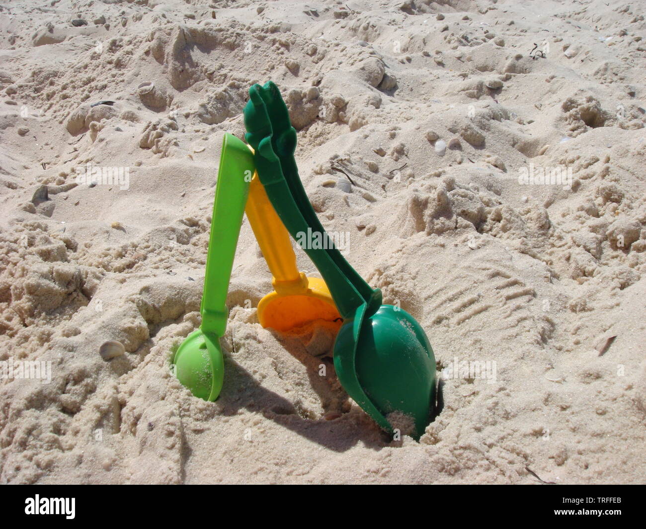 sand and sea toys
