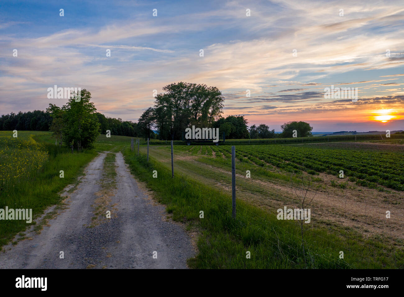 sunset over a field - dramatic sky Stock Photo