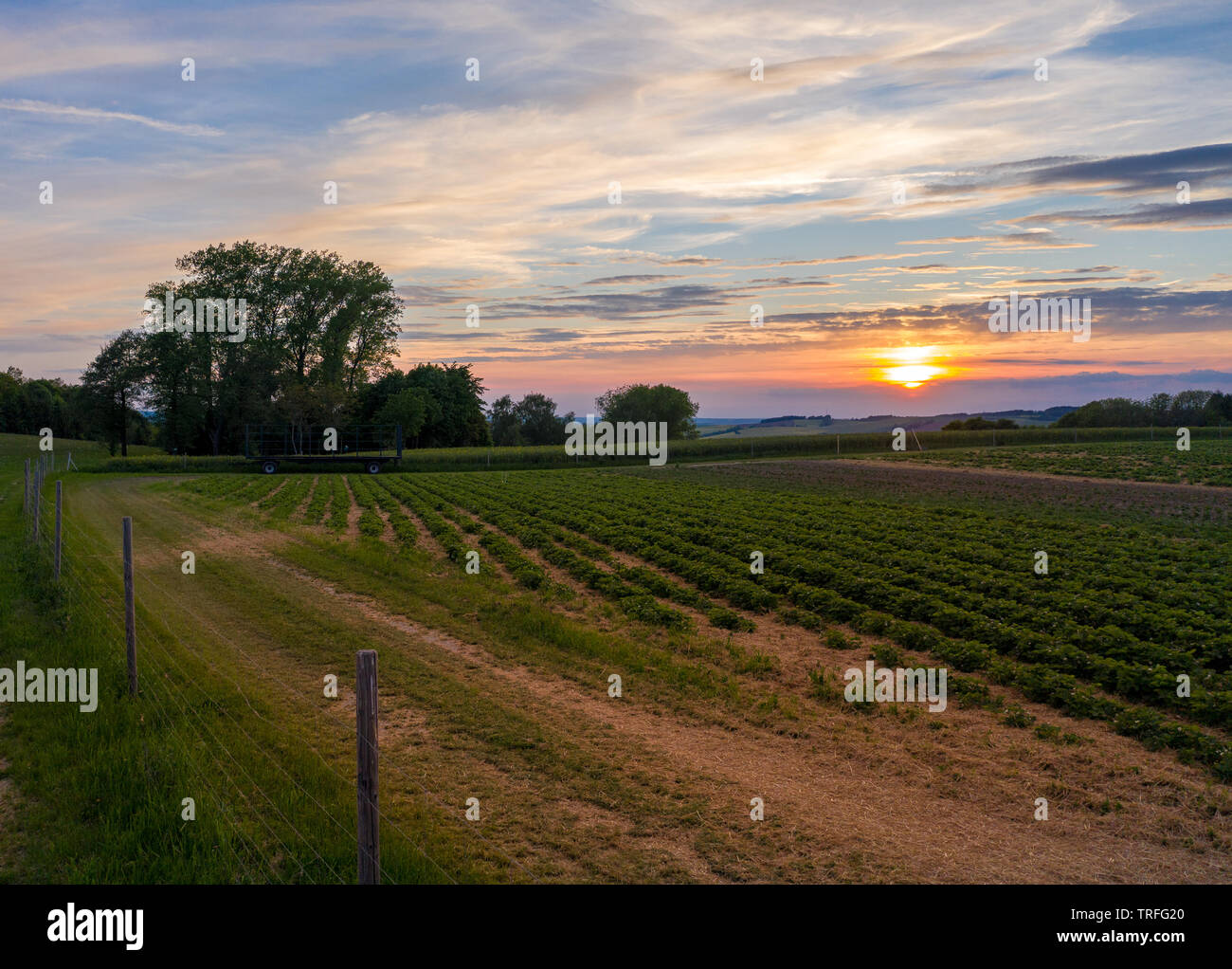 sunset over a field - dramatic sky Stock Photo