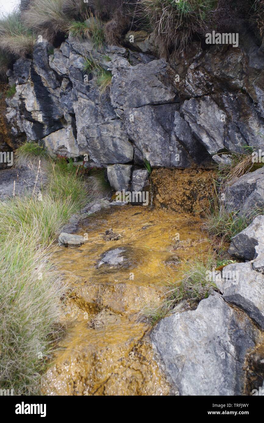 Orange Moss Slime along a Water Course Through Middle Jurassic Lias Limestone Outcrop. Loch Slapin, Isle of Skye, Scotland, UK. Stock Photo