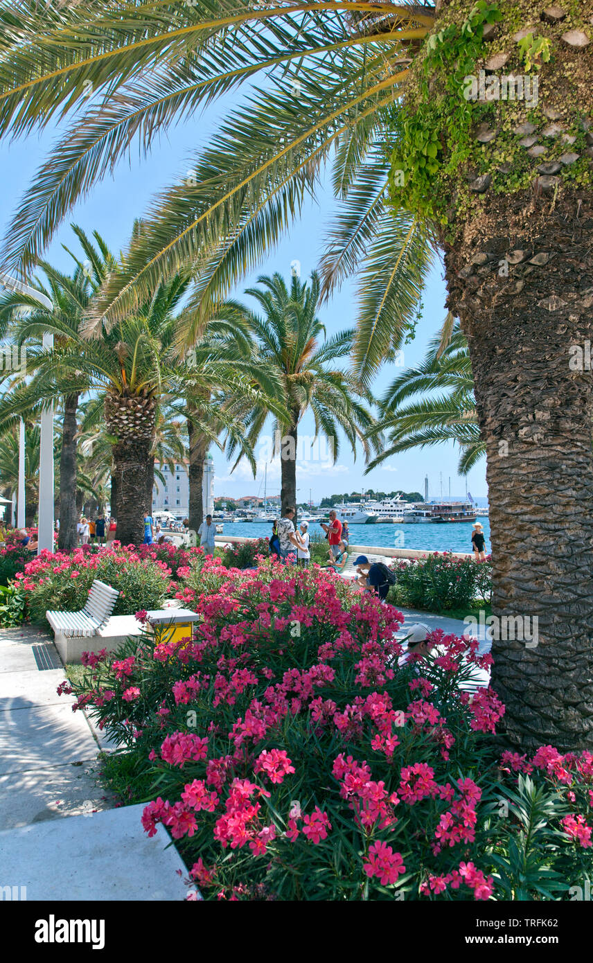 Riva Promenade, in front of Diocletian's Palace, Split, Croatia Stock Photo