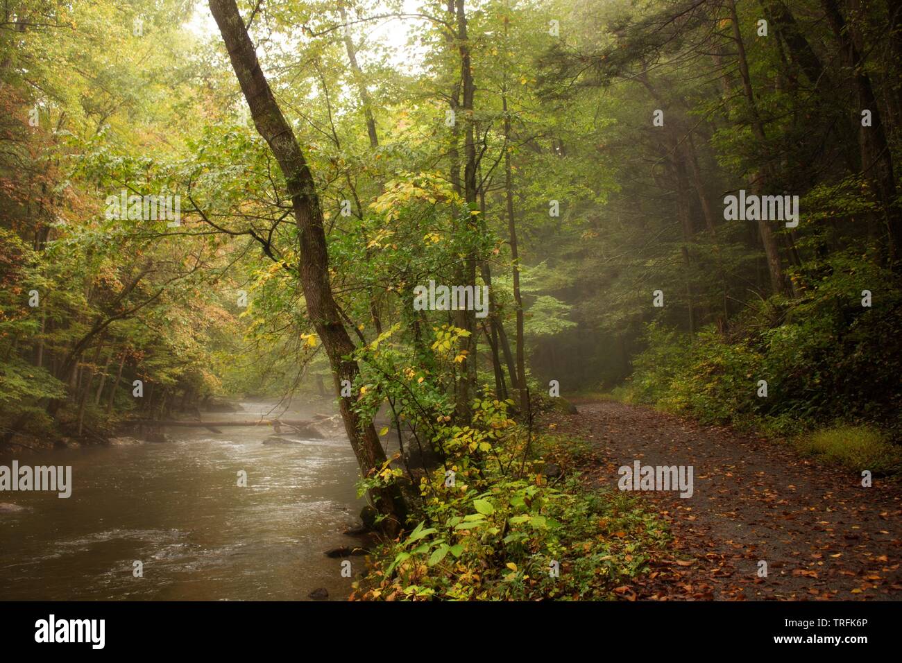 Road by a river Stock Photo Alamy