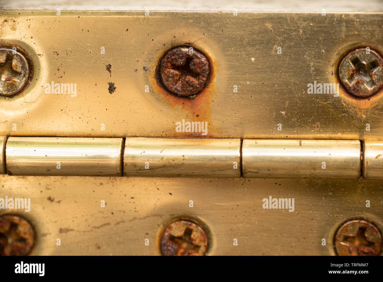 Rusty screws in an old brass hinge. Stock Photo
