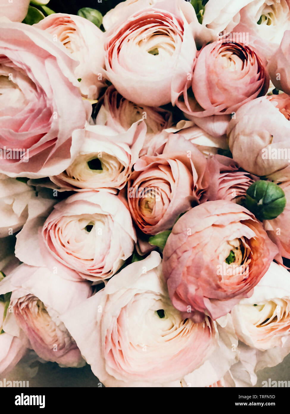 stunning pink love flower bouquet Stock Photo