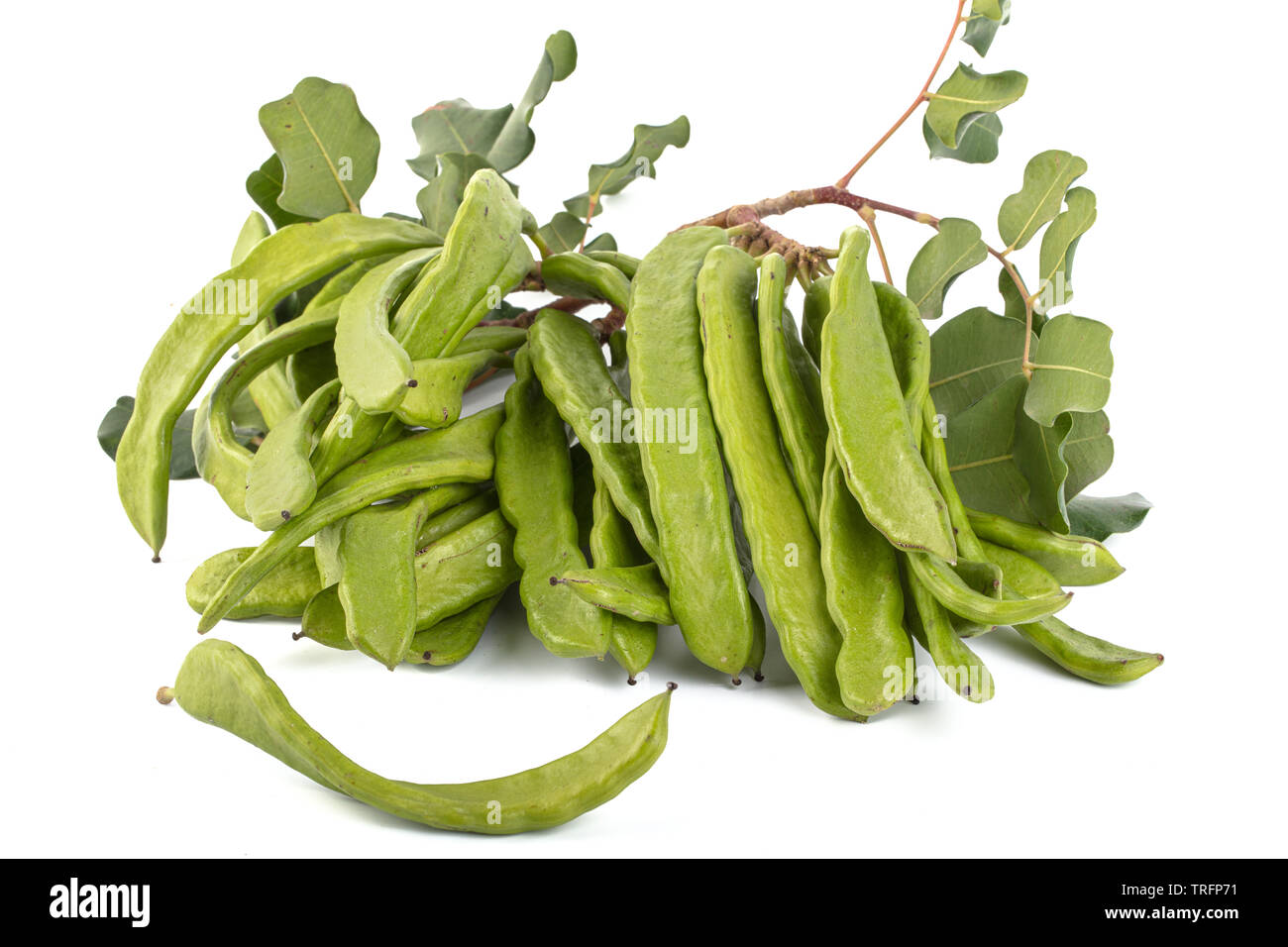 Green carob pods isolated on white background.Ceratonia siliqua
