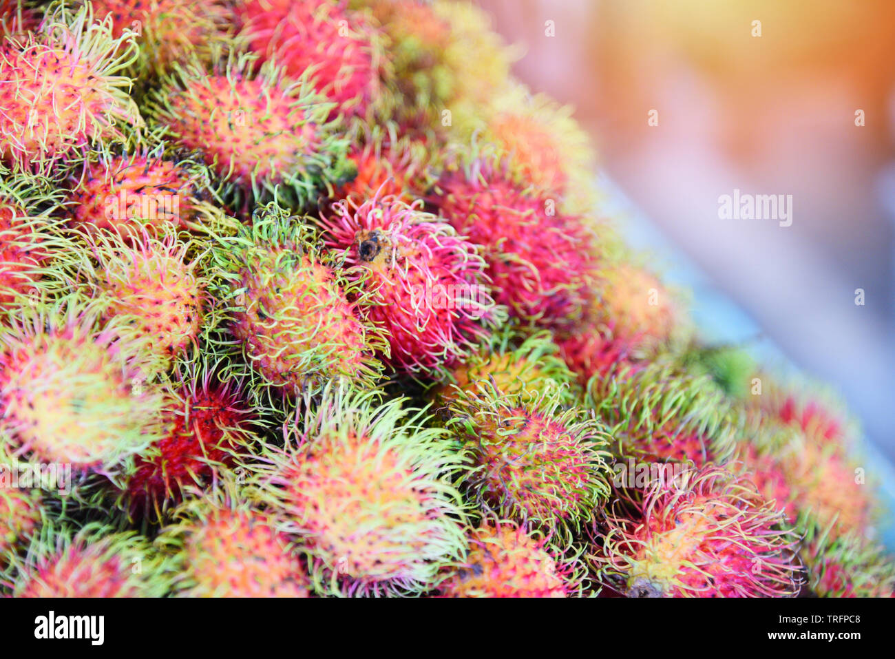 Fresh rambutan fruit for sale in the market Stock Photo