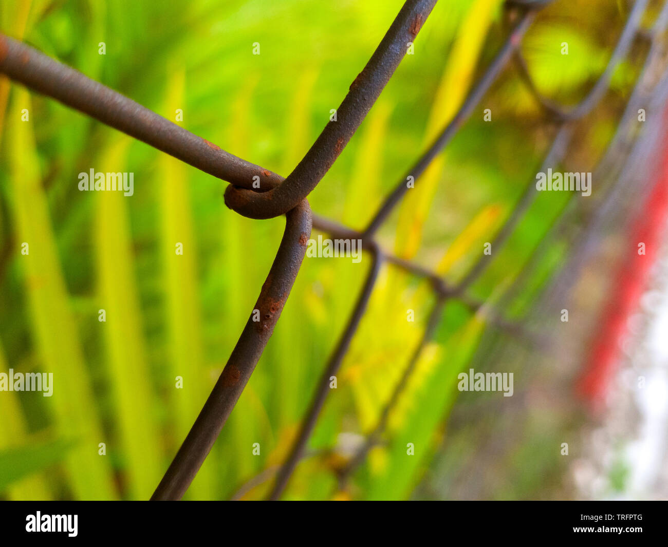 Galvanized metal fence hi-res stock photography and images - Alamy