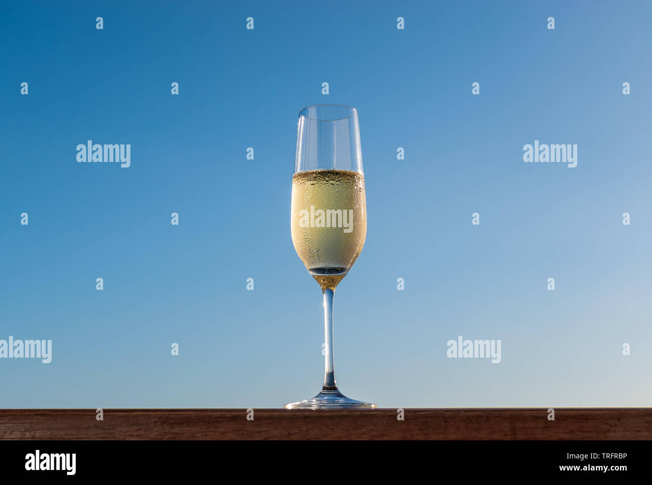 One glass of champagne isolated on blue sky background. Stock Photo